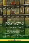 Pow-Wows, or Long-Lost Friend cover
