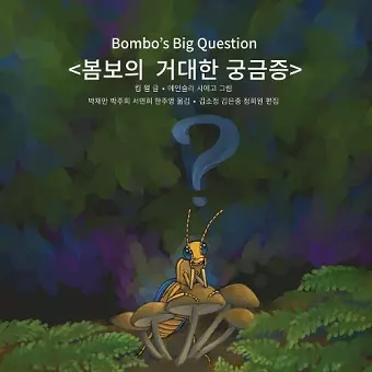 Bombo's Big Question cover