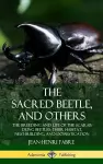 The Sacred Beetle, and Others: The Breeding and Life of the Scarab Dung Beetles; their Habitat, Nest-Building, and Domestication (Hardcover) cover