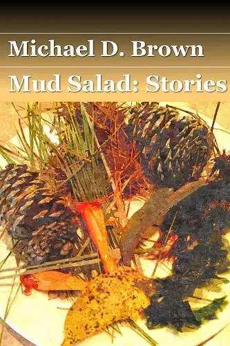 Mud Salad cover