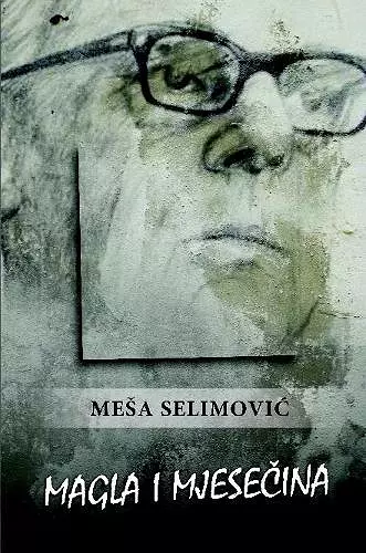 Magla i mjesečina cover