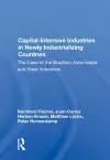Capital-intensive Industries In Newly Industrializing Countries cover