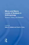 Micro And Macro Levels Of Analysis In Anthropology cover