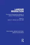 Labour Migration cover