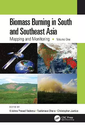 Biomass Burning in South and Southeast Asia cover