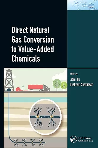 Direct Natural Gas Conversion to Value-Added Chemicals cover