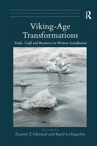 Viking-Age Transformations cover