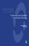 Culture and System in Family Therapy cover