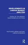 Developments in Labour Market Analysis cover