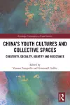 China’s Youth Cultures and Collective Spaces cover