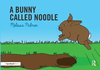 A Bunny Called Noodle cover