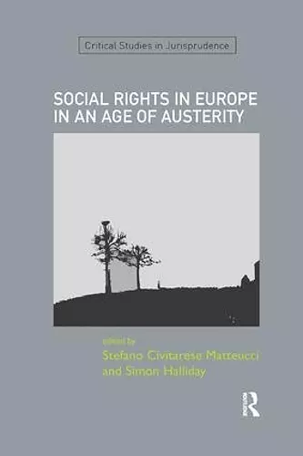 SOCIAL RIGHTS IN EUROPE IN AN AGE OF AUSTERITY cover