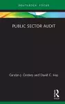 Public Sector Audit cover