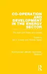 Co-operation and Development in the Energy Sector cover