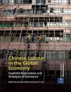 Chinese Labour in the Global Economy cover