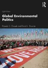 Global Environmental Politics cover