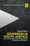 Diversion in Youth Justice cover