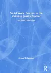 Social Work Practice in the Criminal Justice System cover