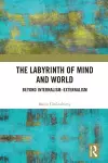 The Labyrinth of Mind and World cover