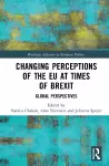 Changing Perceptions of the EU at Times of Brexit cover