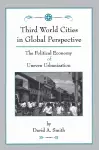 Third World Cities In Global Perspective cover