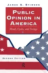 Public Opinion In America cover