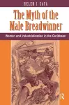 The Myth Of The Male Breadwinner cover