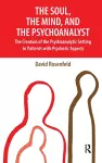 The Soul, the Mind, and the Psychoanalyst cover