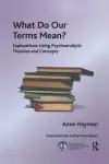 What Do Our Terms Mean? cover