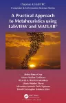 A Practical Approach to Metaheuristics using LabVIEW and MATLAB® cover