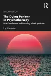 The Dying Patient in Psychotherapy cover