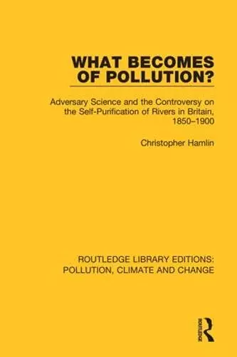 What Becomes of Pollution? cover