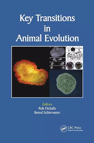 Key Transitions in Animal Evolution cover