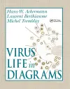 Virus Life in Diagrams cover