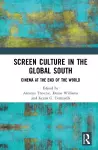 Screen Culture in the Global South cover