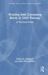 Working with Continuing Bonds in Grief Therapy cover