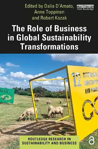 The Role of Business in Global Sustainability Transformations cover