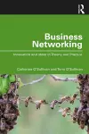 Business Networking cover