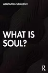 What is Soul? cover