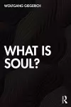 What is Soul? cover