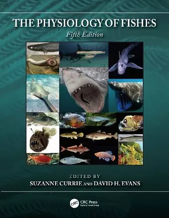 The Physiology of Fishes cover