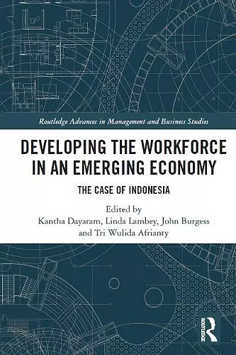 Developing the Workforce in an Emerging Economy cover