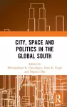 City, Space and Politics in the Global South cover