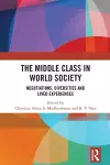The Middle Class in World Society cover