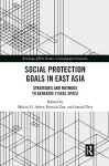 Social Protection Goals in East Asia cover