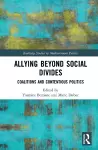 Allying beyond Social Divides cover