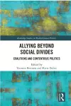 Allying beyond Social Divides cover