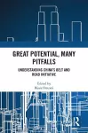 Great Potential, Many Pitfalls cover