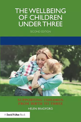 The Wellbeing of Children under Three cover