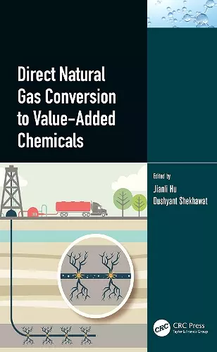 Direct Natural Gas Conversion to Value-Added Chemicals cover